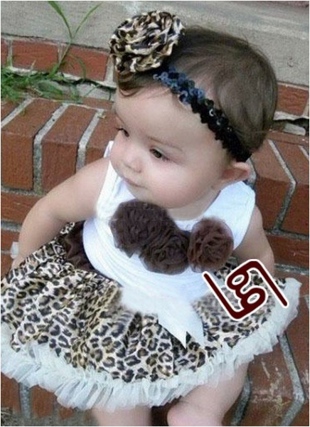 Conjunto Tigrado